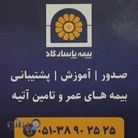 بیمه پاسارگاد