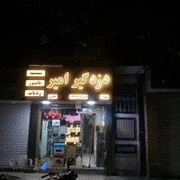 دزدگیر سیستم امیر (خودرو اماکن)