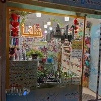 آرایشی هلنا