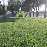 پارک بوستان