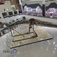 پارک موزه علوم زمین