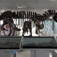 موزه ژوراسیک