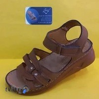 کفش ثناگو احمد