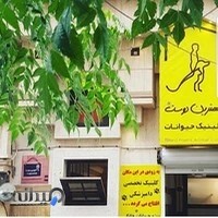 Best friend animal clinic