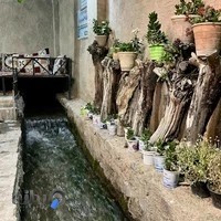 اقامتگاه بومگردی چنارستان