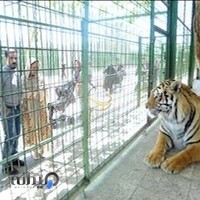 باغ وحش وکیل آباد