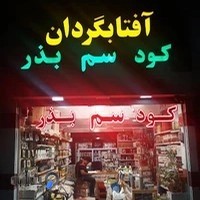 آفتابگردان