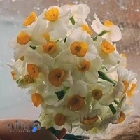 مرکز جامع نوروفيدبک راد