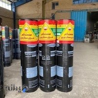 ایزوگام جمشیدی