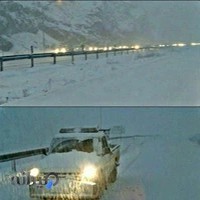 باربری بهیاری