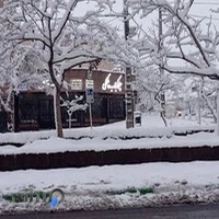 چلو کباب پلنگی