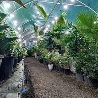 قصر گل (باغبون تو)