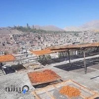 آجیل قائم (ع)