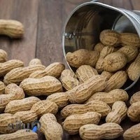 آجیل و خشکبار حسین پور