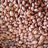 آجیل و خشکبار حسین پور