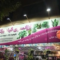 ارزانسرای گیاه برگام