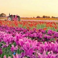 تالار باغ سروش