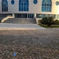 تالار نژاد فلاح