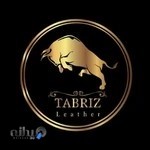 کیف کفش چرم تبریز