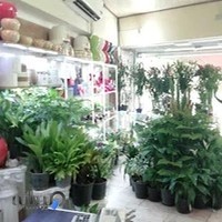 گل فروشی آرا گل