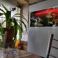 رستوران ته چین