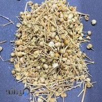 عطاری کوهسار ( آقا پیام )