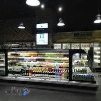 کارخانه انجماد سیستم-