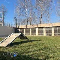 مجموعه سگ/پانسیون و آموزش سگ