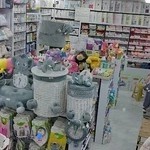 سیسمونی رنگین کمون