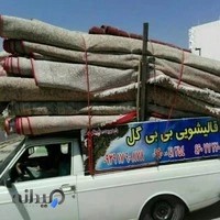 قالیشویی بی بی گل