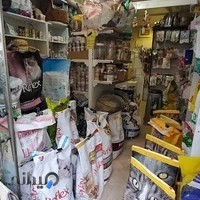 پت شاپ لاوینا