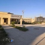 دانشگاه علوم پزشکی هرمزگان