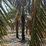 اداره‌کل میراث فرهنگی صنایع دستی و گردشگری هرمزگان