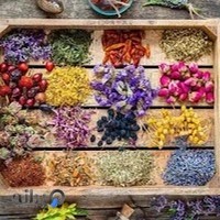 عطاری حسینی