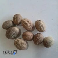 گیاهان دارویی بهشت (ابراهیمی)