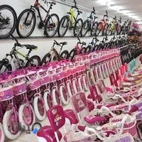 سلطان دوچرخه