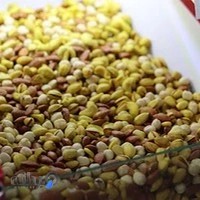 فروشگاه خشکبار پروینی