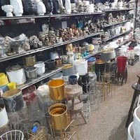 گل و کاکتوس هیوا