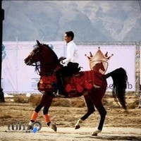 مجموعه گردشگري و باشگاه سواركاري سلطان