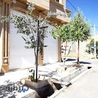 کافی نت احسان