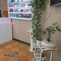 کافی نت بووف