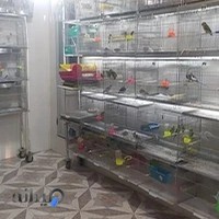 پرنده سرای کاسکو