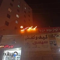 کیف و کفش سیسی