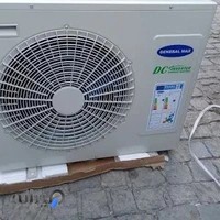 پرنده فروشی مهاجر - قهرمانی