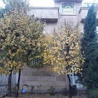 Physiotherapy sorosh