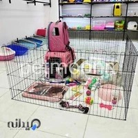 پت شاپ پت مون شیراز