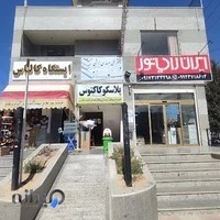 پلاسکو کاکتوس