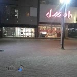 فرآورده‌های گوشتی دامسل