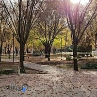 بوستان نمازی