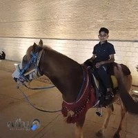 پارک دایناسور ها